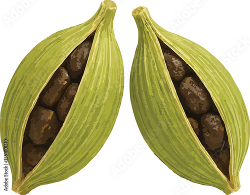 cardamom