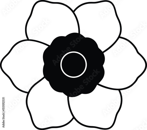 black and white orchid flower