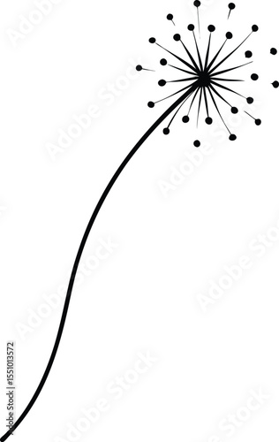 black and white abstract background