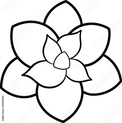 orchid flower vector