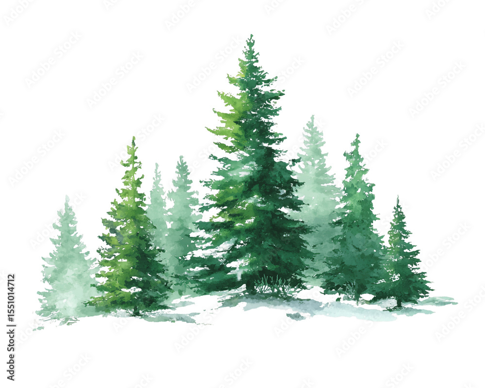 Fototapeta premium Watercolor Evergreen Trees on Transparent Background, PNG