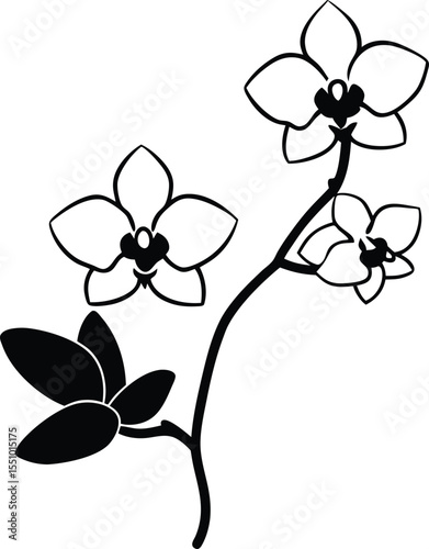 orchid flower vector illustration