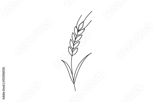 Wheat Stalk continuous one line drawing minimalism design