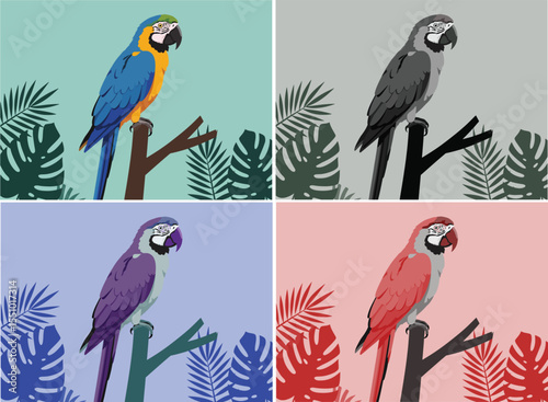 Vibrant Macaw Birds in Jungle Setting
