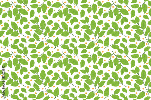 Leaf  floral nature pattern vector art background wallpaper