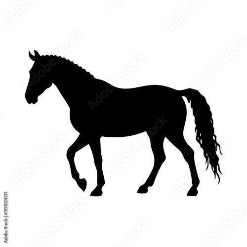 Horse Riding Cartoon Illustration for Kids, Cute Equestrian Clipart, Saddle Pony Drawing, Riding School Art, Animal Training Design

