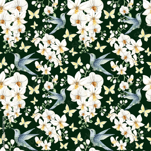 Flying hummingbird with white orchid flowers and butterflies watercolor illustration. Hand drawn seamless pattern with tropical phalaenopsis and bird. Botanical template for jungle exotic background.