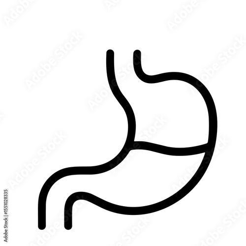 Simple Line Drawing Stomach Anatomy Organ Human Biology Healthcare Icon