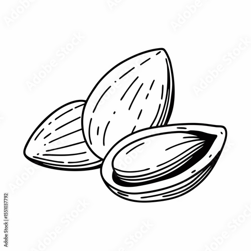 Hand-Drawn Illustration of Almonds  Nut, Healthy Snack, Food Drawing,  Sketch, Culinary Art