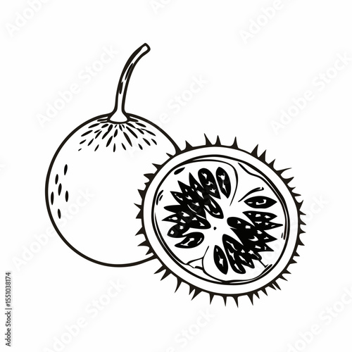 Hand-Drawn Illustration of a Passion Fruit Whole and Halved
