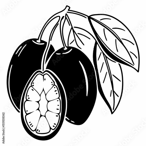 Black and White Illustration of Exotic Fruits with Leaves