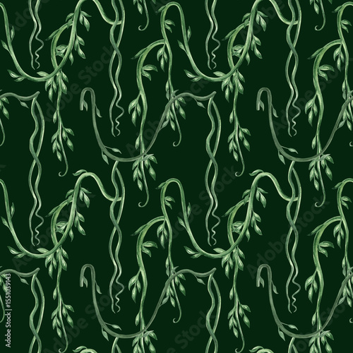 Watercolor tropical liana with leaves illustration for summer rainforest designs. Seamless pattern of exotic plants for spring jungle design. Hand drawn summer climbing vine. Exotic foliage background