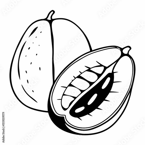 Line Art Illustration of a Melon Whole and Halved