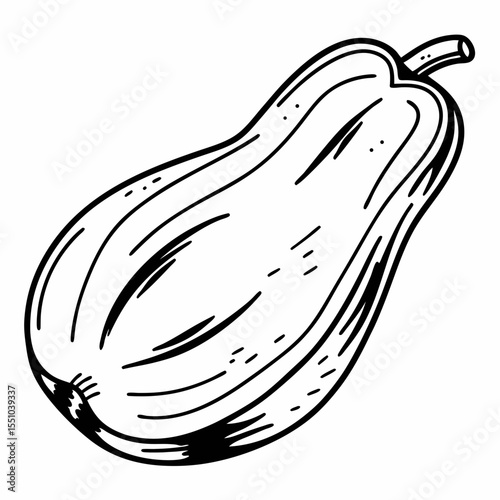 Hand-Drawn Line Art Illustration of a Butternut Squash
