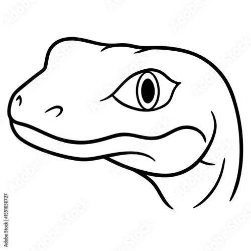 funny cartoon shark