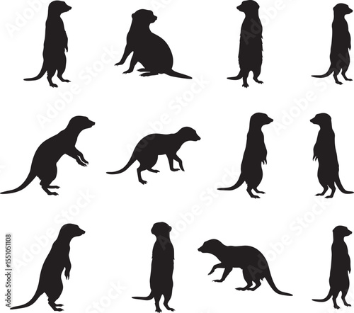 Collection of Meerkat silhouettes in various poses