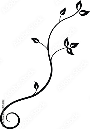 black and white butterfly