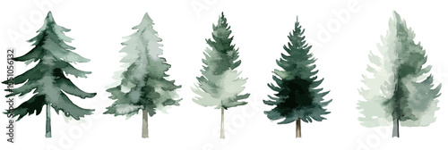 Watercolor pine tree set five hand painted forest evergreen tree illustrations green natural woodland botanical design elements collection