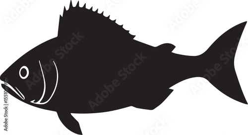 silhouette fish seabass on white background, vector illustration