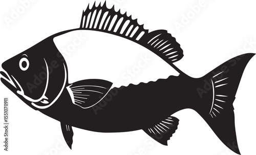 silhouette fish seabass on white background, vector illustration