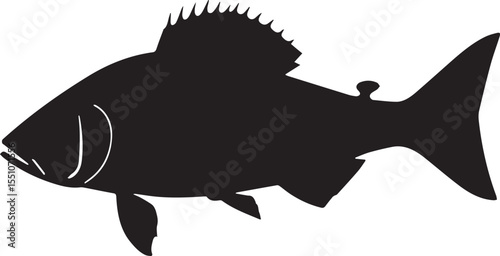 silhouette fish seabass on white background, vector illustration