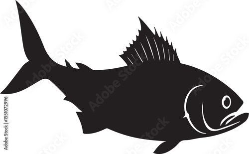 silhouette fish seabass on white background, vector illustration