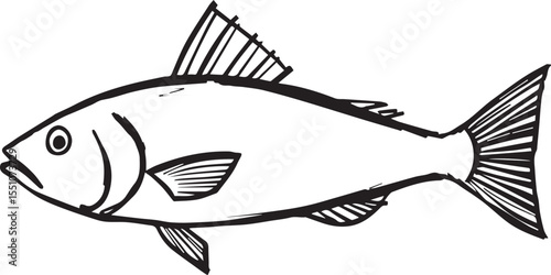silhouette fish seabass on white background, vector illustration