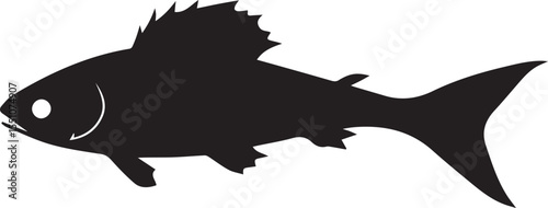 silhouette fish seabass on white background, vector illustration