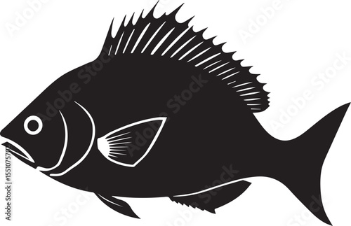 silhouette fish seabass on white background, vector illustration