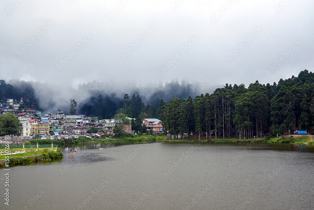 Fototapeta premium Serene Lakeside Village in Mist with Tall Trees and Soft Morning Clouds