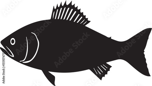 silhouette fish seabass on white background, vector illustration