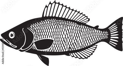 silhouette fish seabass on white background, vector illustration