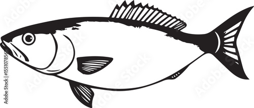 silhouette fish seabass on white background, vector illustration