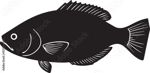 silhouette fish seabass on white background, vector illustration