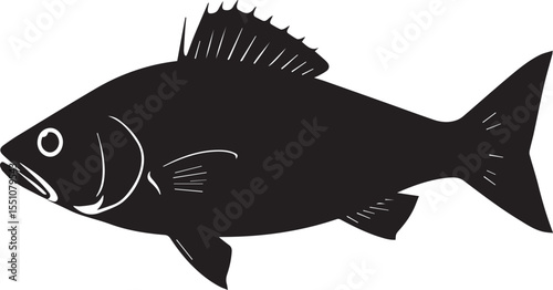 silhouette fish seabass on white background, vector illustration