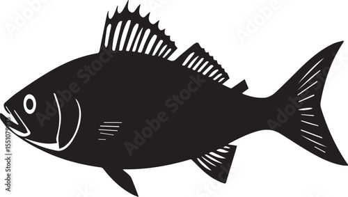 silhouette fish seabass on white background, vector illustration