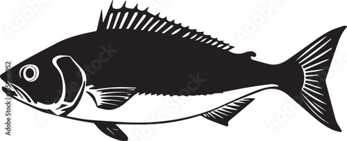 silhouette fish seabass on white background, vector illustration