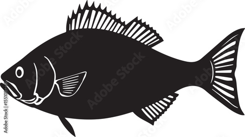 silhouette fish seabass on white background, vector illustration