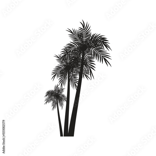 Stylized palm tree logo and vector