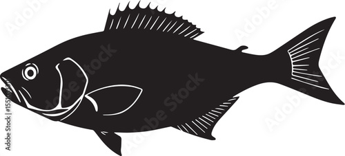 silhouette fish seabass on white background, vector illustration
