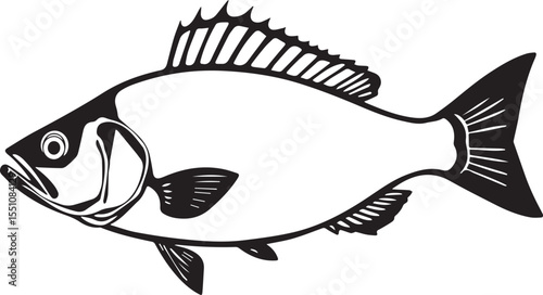 silhouette fish seabass on white background, vector illustration