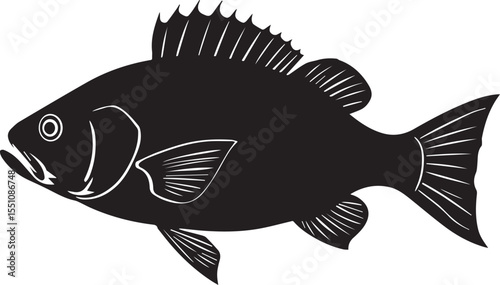 silhouette fish seabass on white background, vector illustration