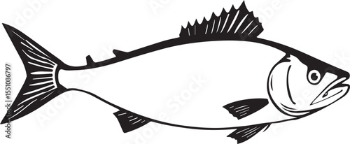 silhouette fish seabass on white background, vector illustration