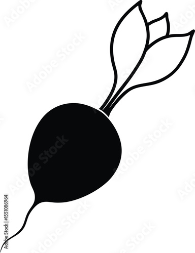 red radish on white background