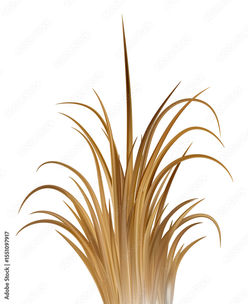 Fototapeta premium Dry brown grass. Dead field and marsh plants on meadow and beach. Prairie scene. Autumn realistic farm vegetation.