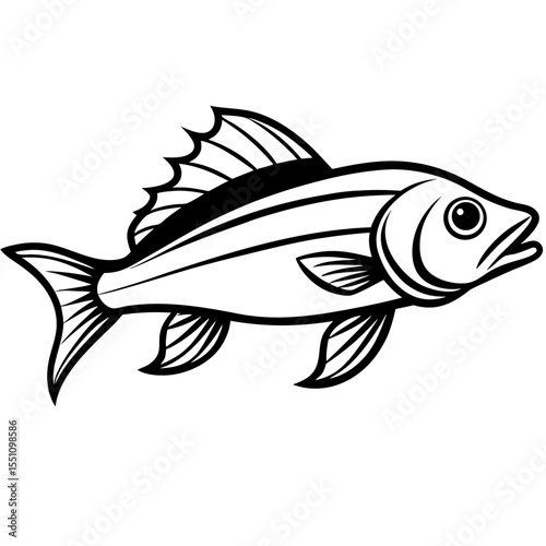 Simple Zander Fish Contour Illustration