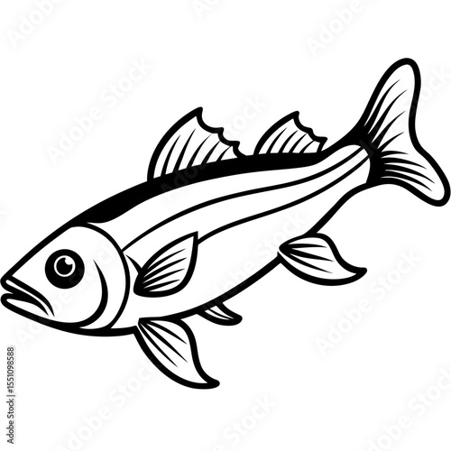 Simple Zander Fish Contour Illustration