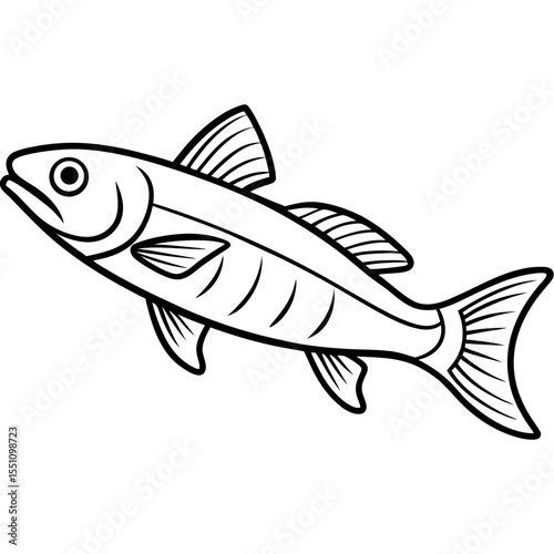 Simple Zander Fish Contour Illustration