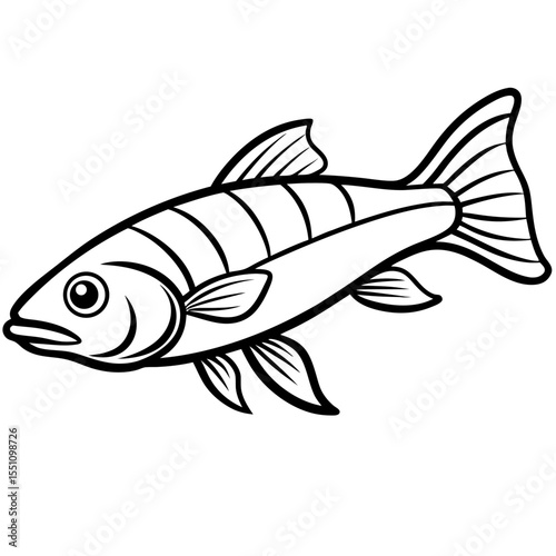 Simple Zander Fish Contour Illustration