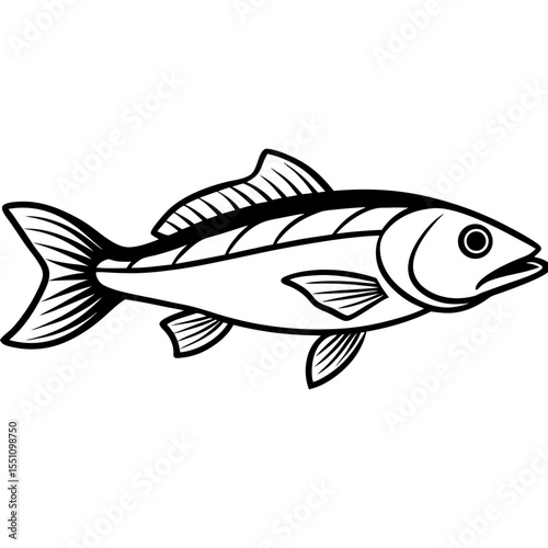 Simple Zander Fish Contour Illustration